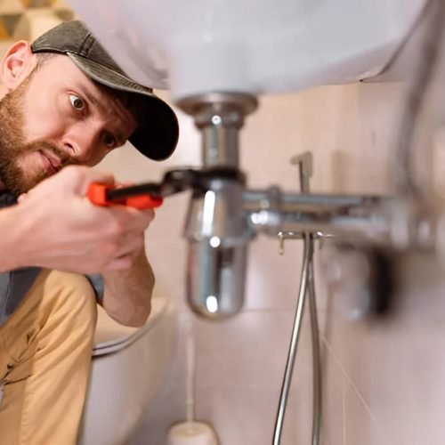 Choose the Right Plumber In California